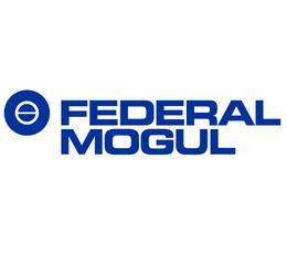 FEDERAL MOGUL