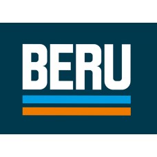 BERU Industrial Igniters